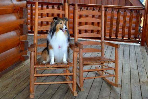 Porch to a cabin with a dog sitting on a wooden rocking chair